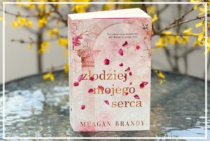 Złodziej mojego serca