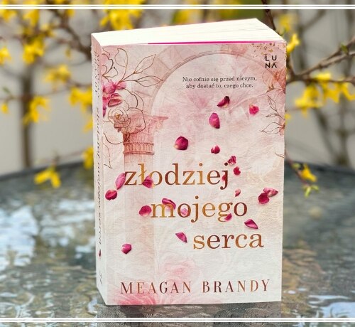 Złodziej mojego serca