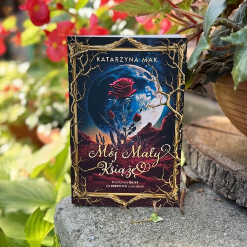 Mój Mały Książę